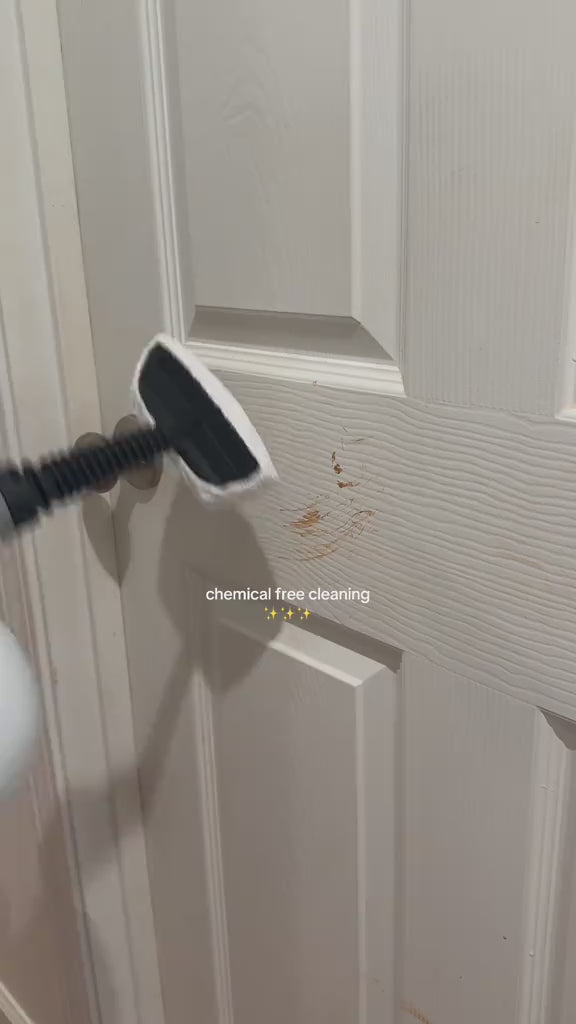 Handheld Multi-Surface Pressurized Steam Cleaner With 12 Accessories video
